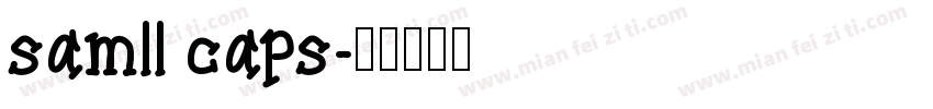 samll caps字体转换
